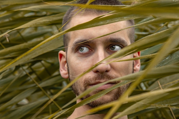 Ritratto concettuale di un uomo in un sacco di foglie Modello bel ragazzo in posa tra i boschetti Primo piano