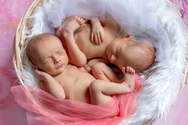 Ritratto dei gemelli neonati che dormono in un canestro su un fondo luminoso rosa
