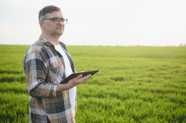 Ritratto dell'agricoltore senior che sta nel campo di grano verde