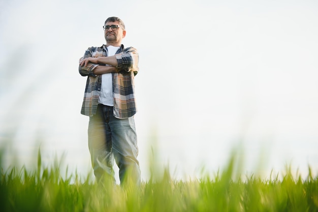 Ritratto dell'agricoltore senior che sta nel campo di grano verde