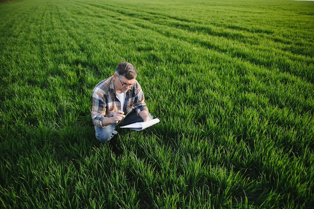 Ritratto dell'agricoltore senior in piedi nel campo di grano che esamina il raccolto durante il giorno