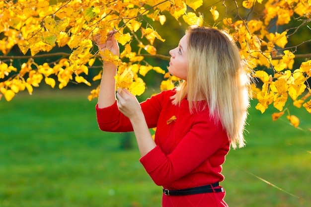 Ritratto della bella ragazza alla moda nel parco