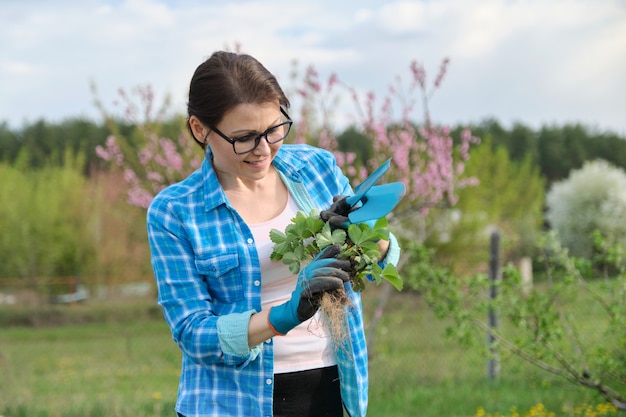 Ritratto della primavera della donna matura in giardino con gli strumenti, cespugli di fragole.