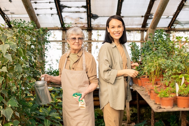 Ritratto delle donne multietniche senior e giovani sorridenti che stanno alle piante in serra