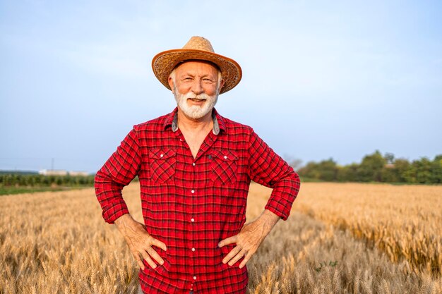 Ritratto di agricoltore anziano che indossa cappello e in piedi nel campo di grano prima del raccolto