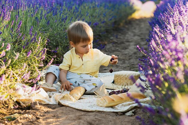 Ritratto di bambino carino seduto sulla coperta durante il picnic in un campo di lavanda