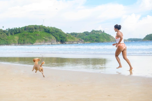 Ritratto di cagnolino sulla spiaggia durante il tramonto