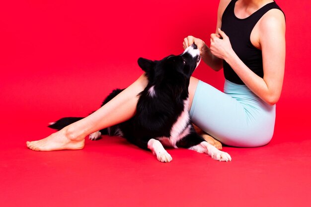 Ritratto di donna in posa con un border collie in studio sfondo giallo e rosso