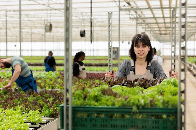 Ritratto di donna sorridente che lavora in serra spingendo rack di casse con cibo biologico coltivato localmente da fonti sostenibili. Lavoratore caucasico che prepara la consegna di verdure per il negozio locale.