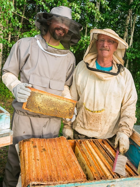 Ritratto di due apicoltori maschi che lavorano in un apiario vicino agli alveari con le api raccolgono l'apicoltore del miele