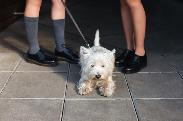 Ritratto di due belle ragazze sorridenti con un cane