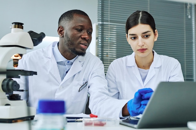 Ritratto di due professionisti medici etnici che lavorano nel laboratorio di scienze e che esaminano il computer portatile scr