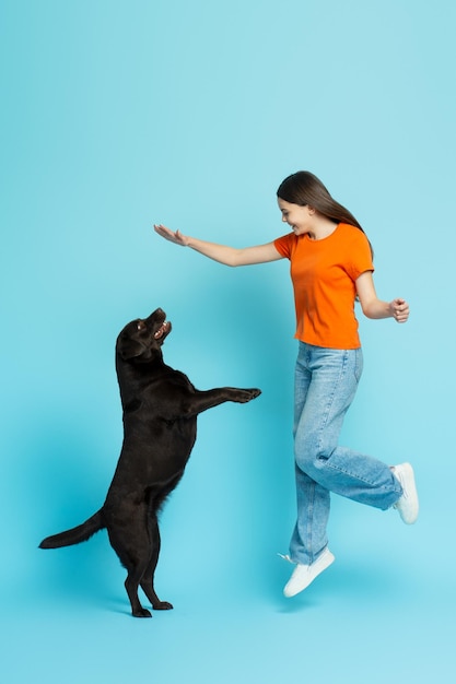 Ritratto di felice bella ragazza che gioca con il cane che salta in alto divertendosi isolato su sfondo blu