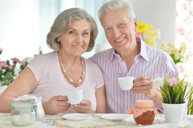 Ritratto di felice coppia Senior che beve tè
