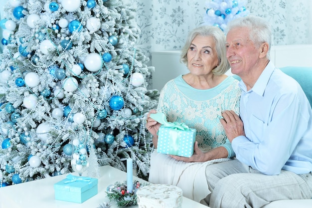 Ritratto di felice coppia senior che si prepara per il Natale a casa