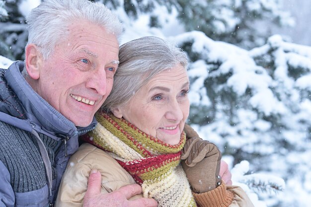 Ritratto di felice coppia senior in inverno all'aperto