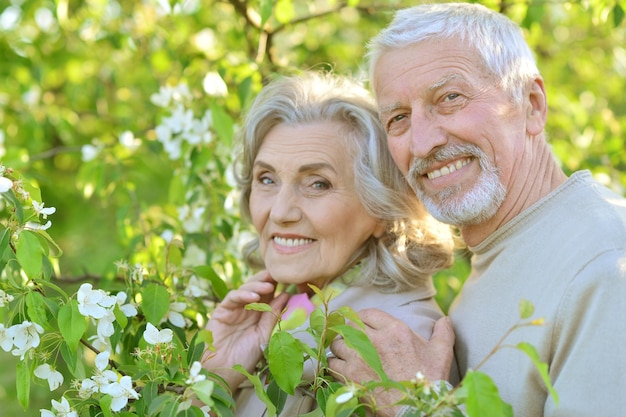 Ritratto di felice coppia senior in piedi sotto l'albero in fiore