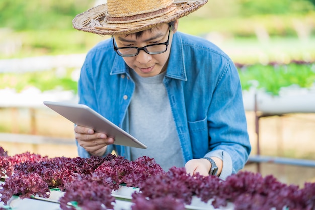 Ritratto di giovane agricoltore astuto che per mezzo del computer digitale della compressa per ispezionare.