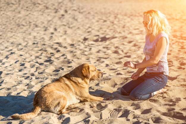 Ritratto di giovane bella donna in occhiali da sole che si siede sulla spiaggia di sabbia con la ragazza del cane del documentalista dorato...