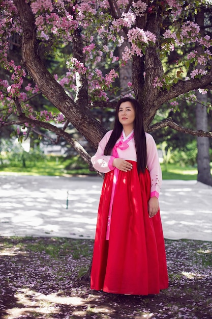 Ritratto di giovane donna una sposa coreana in costumi nazionali in piedi vicino all'albero di fiori di ciliegio in primavera