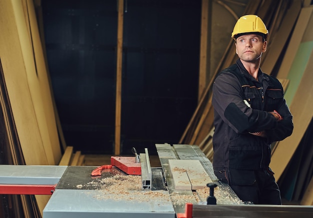 Ritratto di maschio carpentiere in un'officina.