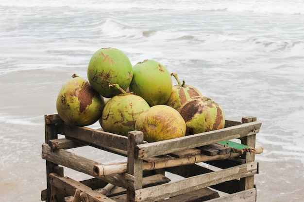 Ritratto di noci di cocco in vendita in spiaggia