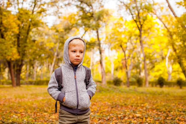 Ritratto di ragazzino carino in autunno. Passeggiata in famiglia nella foresta autunnale