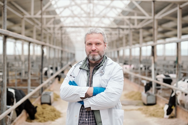 Ritratto di sorridente veterinario di campagna dai capelli grigi in camice bianco in piedi con le braccia incrociate in una grande stalla