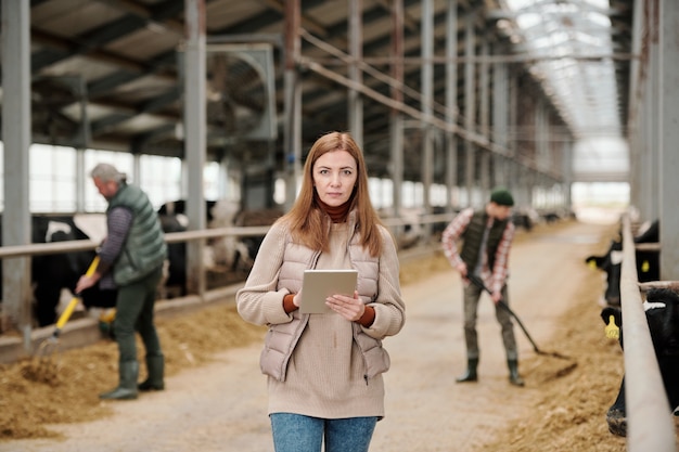 Ritratto di un'agricoltrice seria che analizza la produzione di bestiame utilizzando un tablet mentre suo marito e suo figlio alimentano le mucche in background