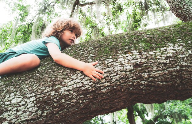 Ritratto di un bambino felice che si arrampica su un albero in un parco.