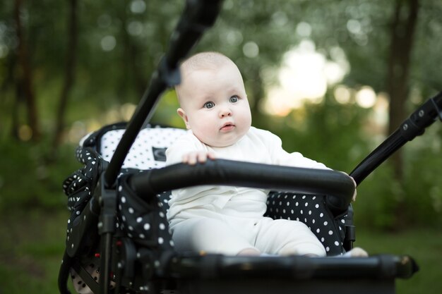 Ritratto di un bambino in un passeggino