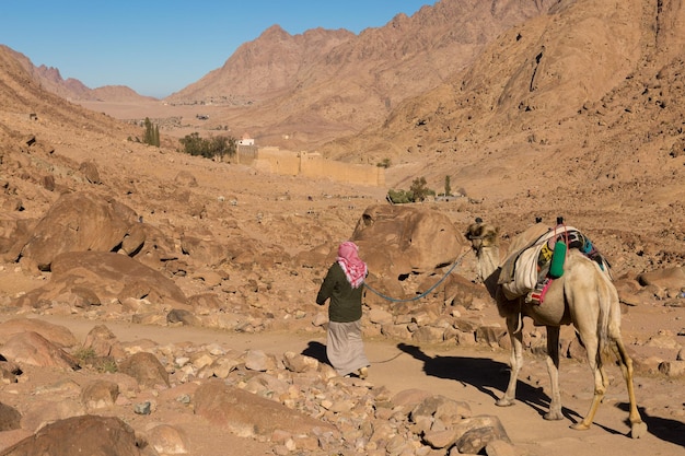 Ritratto di un beduino nelle montagne del Sinai