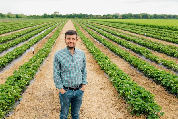 Ritratto di un bel giovane agricoltore moderno che sorride con le mani in tasca sulle colture di fragole sullo sfondo persone belle e sane agricoltori