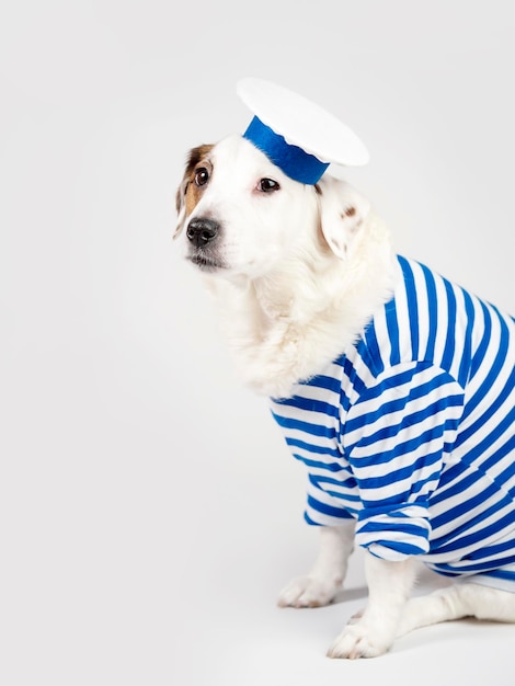 Ritratto di un cane in costume da marinaio su uno sfondo chiaro Sailor dog funny pets