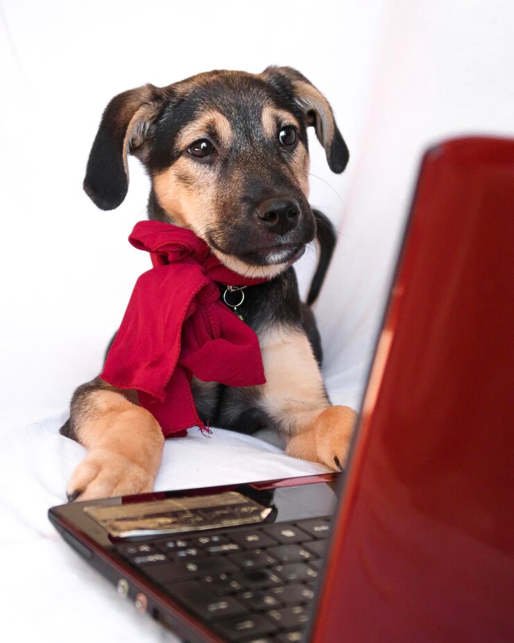 Foto ritratto di un cane seduto su carta