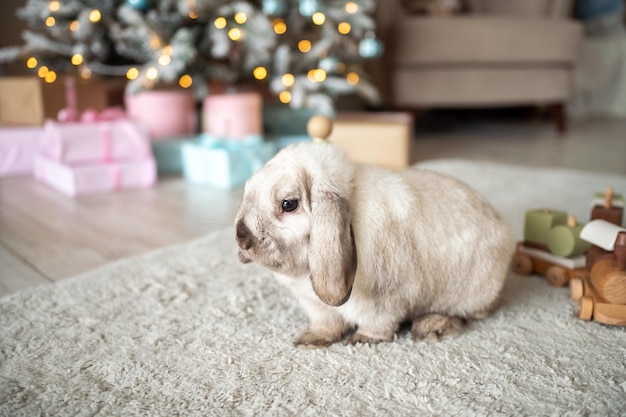 Ritratto di un coniglio con lunghe orecchie pendenti seduto su un tappeto con un albero di Natale