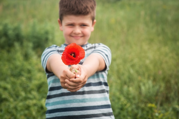 Ritratto di un ragazzo dolce con un fiore di papavero rosso Il bambino allunga le mani in avanti con un fiore