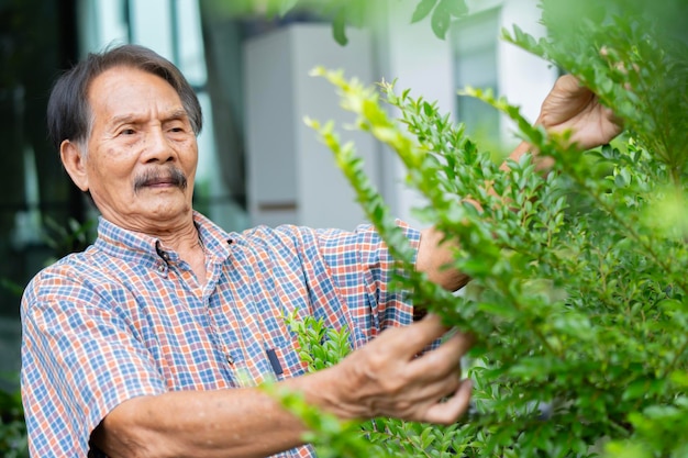 Ritratto di un uomo anziano asiatico che si prende cura del giardino