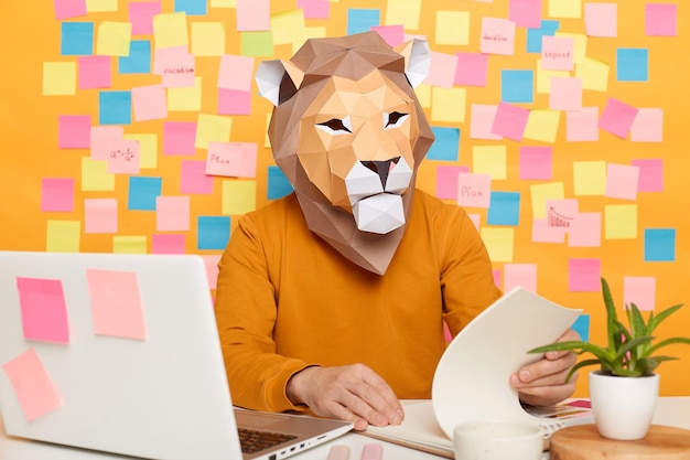 Ritratto di un uomo sconosciuto impegnato con maschera da leone che indossa un maglione arancione seduto sul posto di lavoro con un computer portatile contro il muro giallo con schede memo che lavorano con documenti cartacei