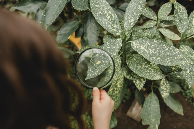 Ritratto di una bambina carina che guarda le piante attraverso una lente d'ingrandimento Un bambino con una lente d'ingrandimento studia la natura in giardino Il concetto di sviluppo iniziale