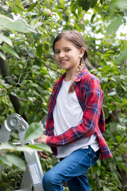 Ritratto di una bambina di 10 anni sorridente in piedi sulla scala a pioli a frutteto