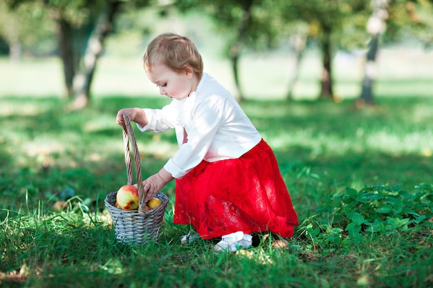 Ritratto di una bambina piccola che raccoglie le mele in un cesto in giardino