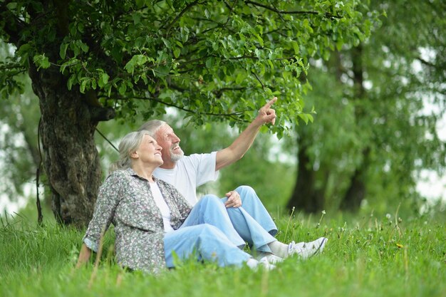 Ritratto di una bella coppia senior nel parco