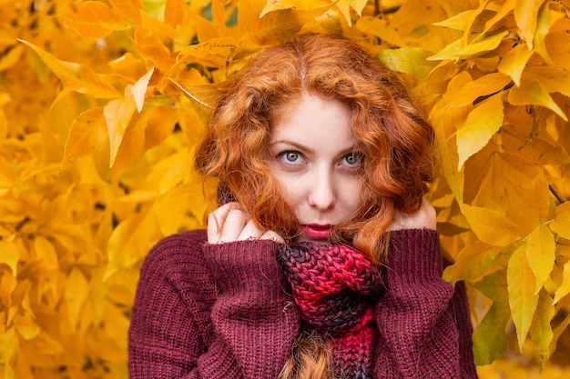 Ritratto di una bella ragazza dai capelli rossi felice foglie gialle