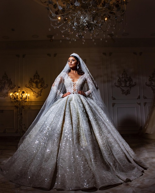 Ritratto di una bella sposa in un bellissimo abito da sposa