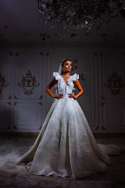 Ritratto di una bella sposa in un bellissimo abito da sposa