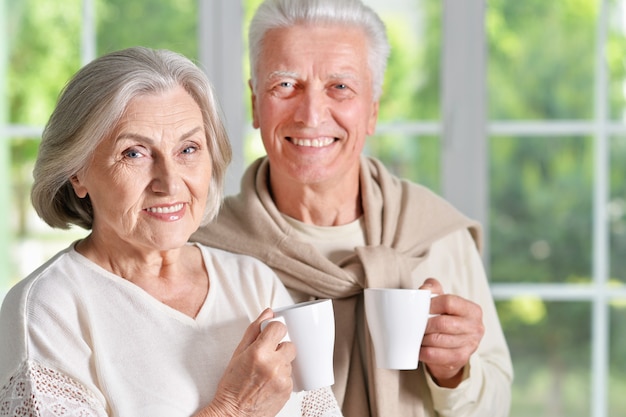 Ritratto di una coppia senior felice che beve tè