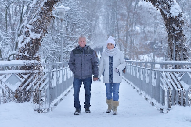 Ritratto di una coppia senior felice in inverno all'aperto