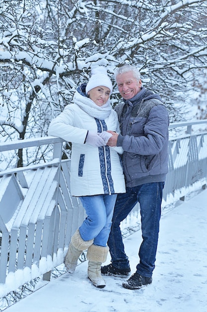 Ritratto di una coppia senior felice in inverno all'aperto