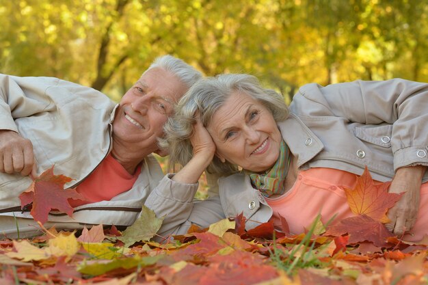 Ritratto di una coppia senior felice nel parco autunnale